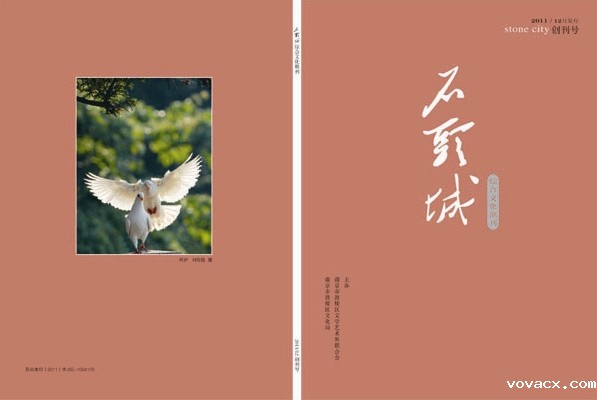 综合文化期刊《石头城》创刊